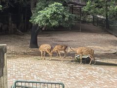 -柳州市动物园