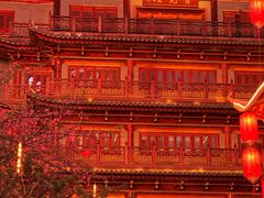 -华林禅寺