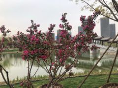 -西海子公园