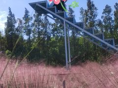 -嘉北郊野公园