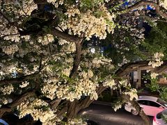 -LAMP BAR 水烟音乐酒吧