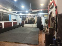 -温鉴良实用咏春拳