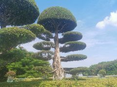 -厦门园林博览苑
