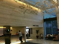 -新加坡乌节希尔顿酒店 (SG Clean)