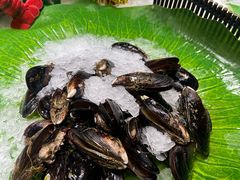 -齐河孔雀王温泉酒店·金孔雀自助百汇