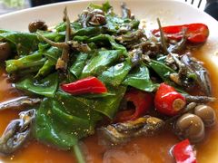 丁香炒山苏-百家班(市府店)