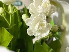 -粉小主·贵州酸汤牛肉粉(南京仙林金鹰店)