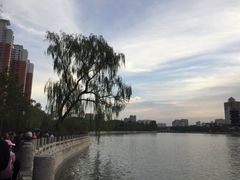 -迎泽公园