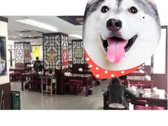 -东方宫中国兰州牛肉拉面(新起街店)