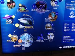 -大连圣亚海洋世界