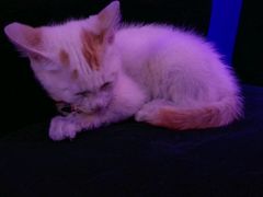 -星宿秘码(鼓浪屿老店)