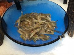 -加餐海鲜自助(宝龙一城店)