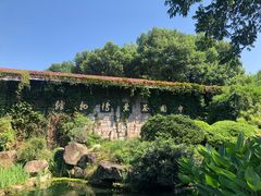 -中国茶叶博物馆(双峰馆区)