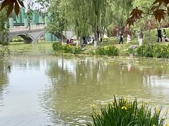 -西安浐灞国家湿地公园