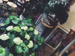 -ABCD咖啡屋(妇幼店)