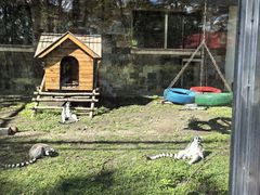 -哈尔滨北方森林动物园