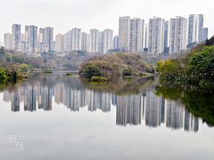 -重庆彩云湖湿地公园