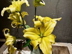 -淀里船宴(卓达店)