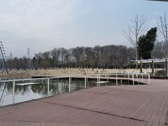 -佛手湖郊野公园