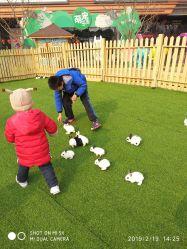 -萌宠亲子动物乐园(槐房万达店)