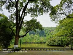 -忠山公园