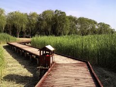 -西青郊野公园