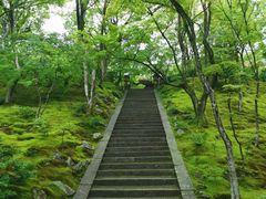 -常寂光寺