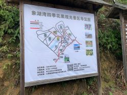 -象湖湾水上乐园