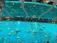 -瑞德姆美人鱼海底演艺主题餐厅(亚龙湾店)