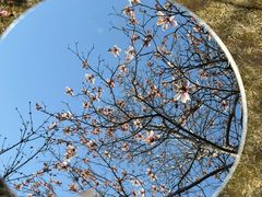 -碑林公园