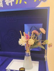 -雅曼妮spa美容养生