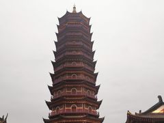 -太湖龙之梦
