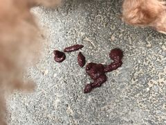 -北京佳信宠物医院