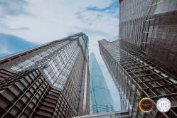 -上海金茂君悦大酒店·宴会厅