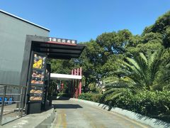 -麦当劳(外高桥DT店)