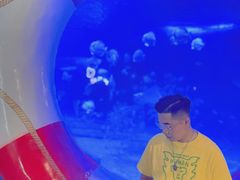 -烟台海昌鲸鲨海洋公园