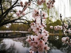 -满都海公园