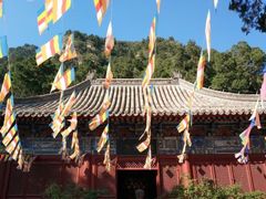 -北京上方山国家森林公园