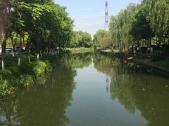 -昆山城市生态森林公园