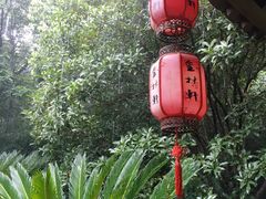 -杭州半山国家森林公园