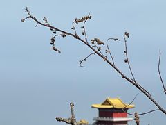 -终南山南五台景区