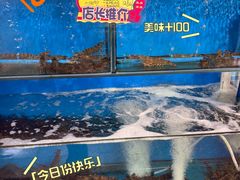 -蚝专家(北滘店)