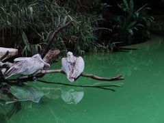 -珠海长隆海洋王国