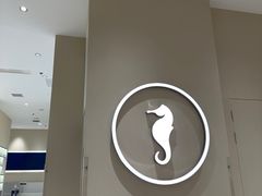 -海马体照相馆(大连罗斯福广场店)