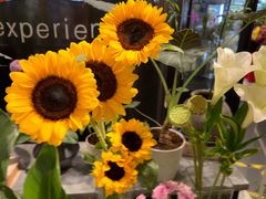 -国贸中心·国贸大厦三期