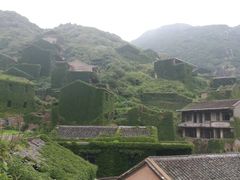 -枸杞岛