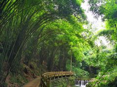 -凤栖山
