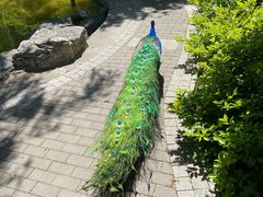 -舜耕山庄四时万和自助餐厅