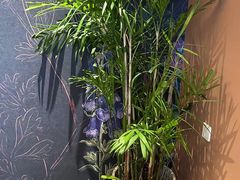 -滇野云南野生菌餐厅(陕西南路店)
