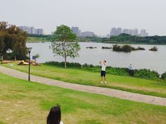 -飞来湖湿地公园